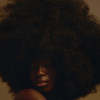 L’Afro : tout un symbole