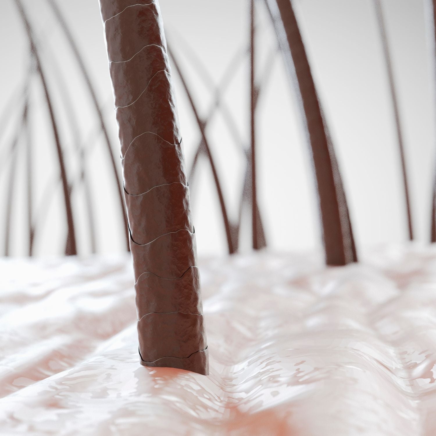 Pourquoi ne pas appliquer d’huile sans rinçage sur le cuir chevelu ? - Colorful Black