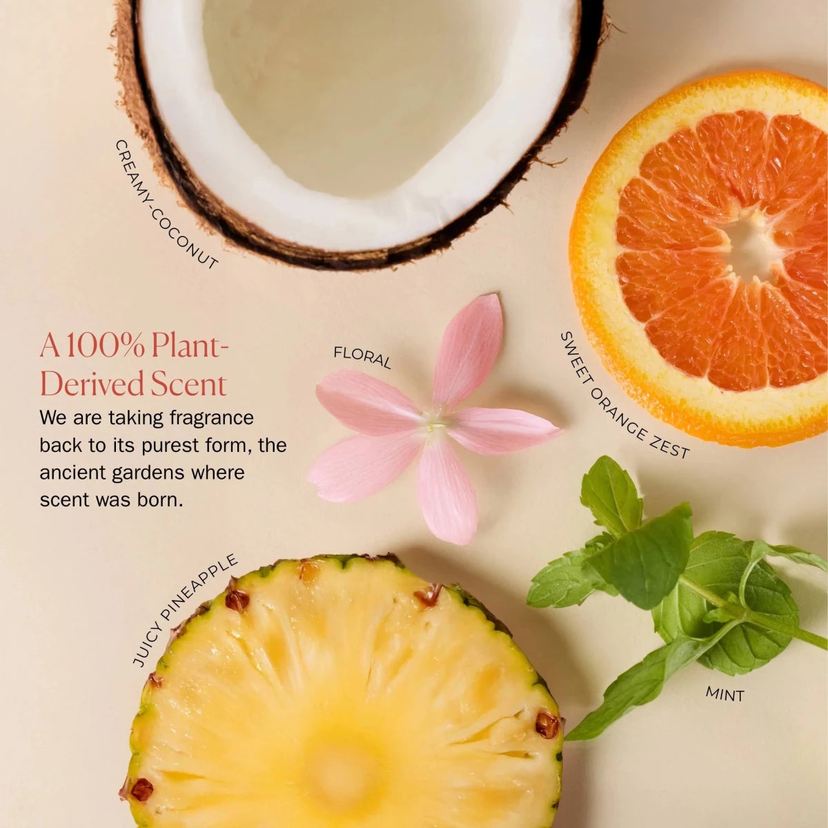 Bounce Curl • Hydra - Lite Styling Cream (crème coiffante) - Colorful Black