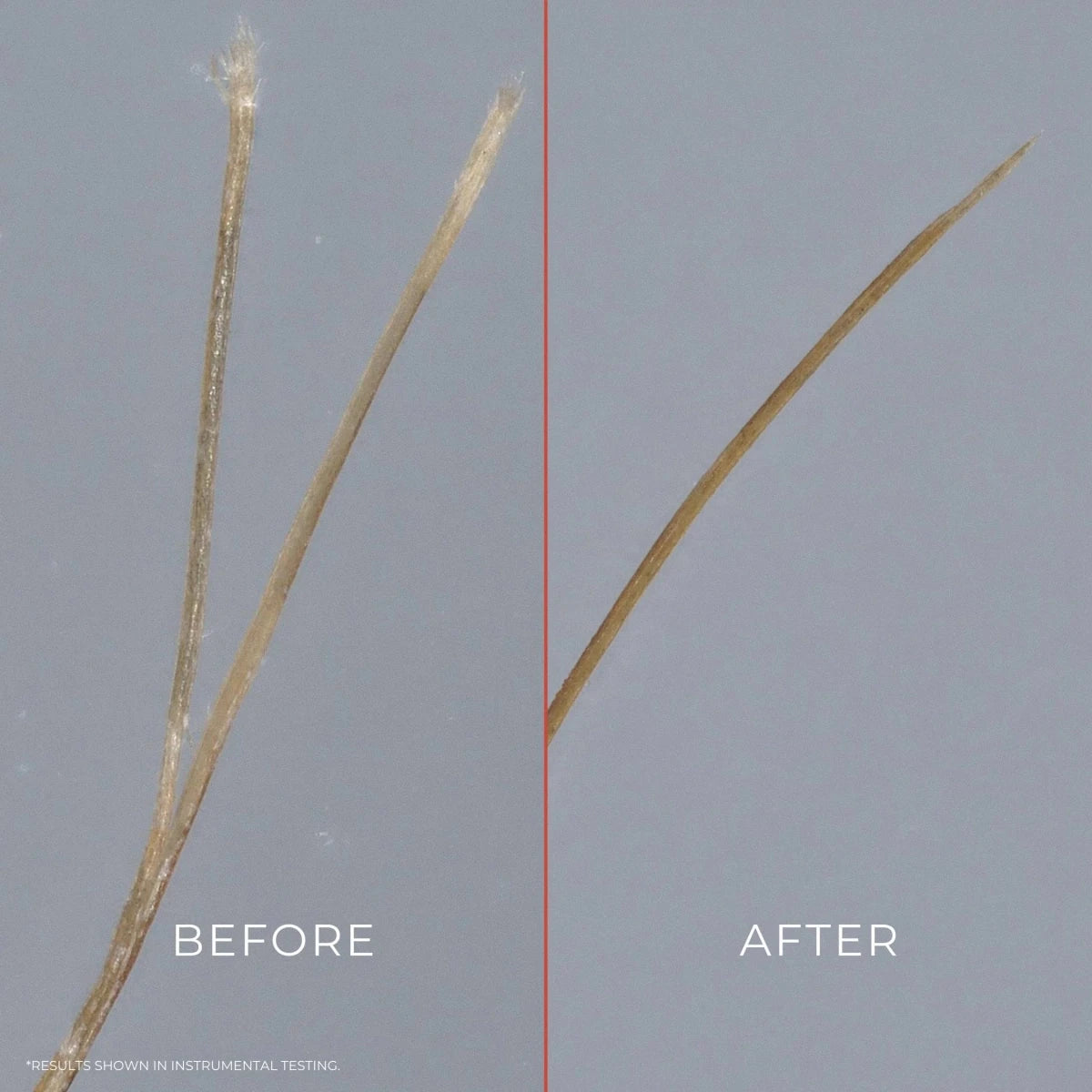 Bounce Curl • Thermal Guard Weightless Leave - In - Colorful Black