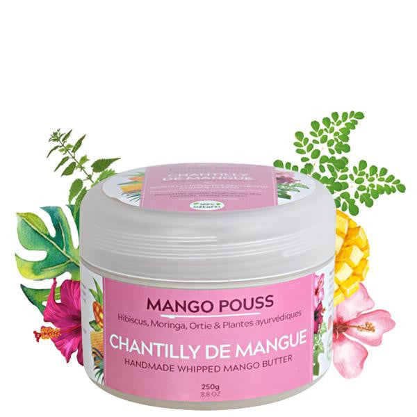 Mango Butterfull - Mango Pouss - Chantilly de Mangue Artisanale