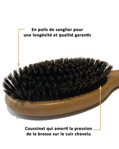 Colorful Black - Brosse en Poils de Sanglier